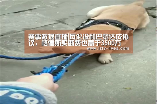  足球直播