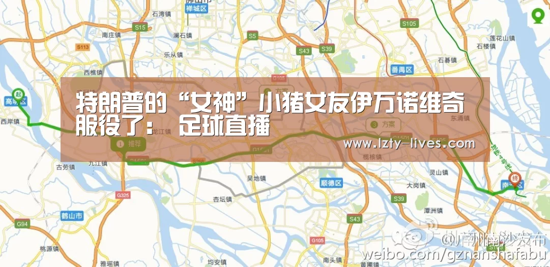  赛事数据直播