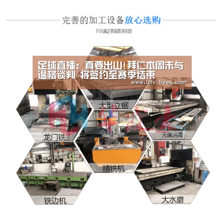  实时比分