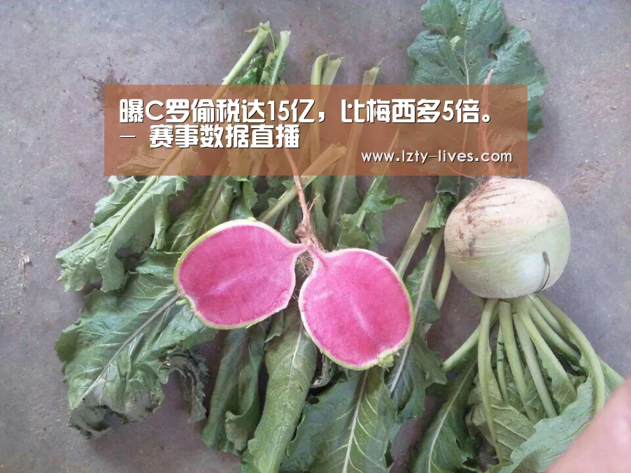 曝C罗偷税达15亿,比梅西多5倍。- 赛事数据直播(图3) 足球直播
