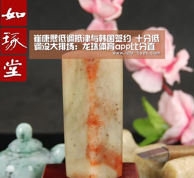 崔康熙低调抵津与韩国签约 十分低调没大排场:龙珠体育app比分直播(图3) 足球直播