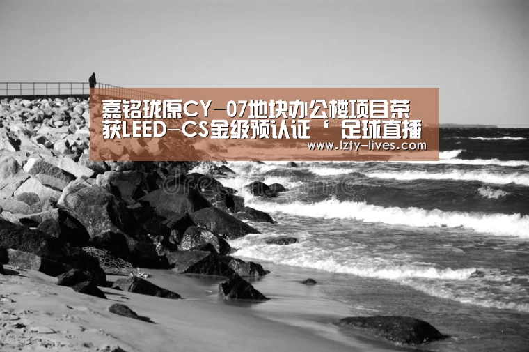 龙珠体育app比分直播